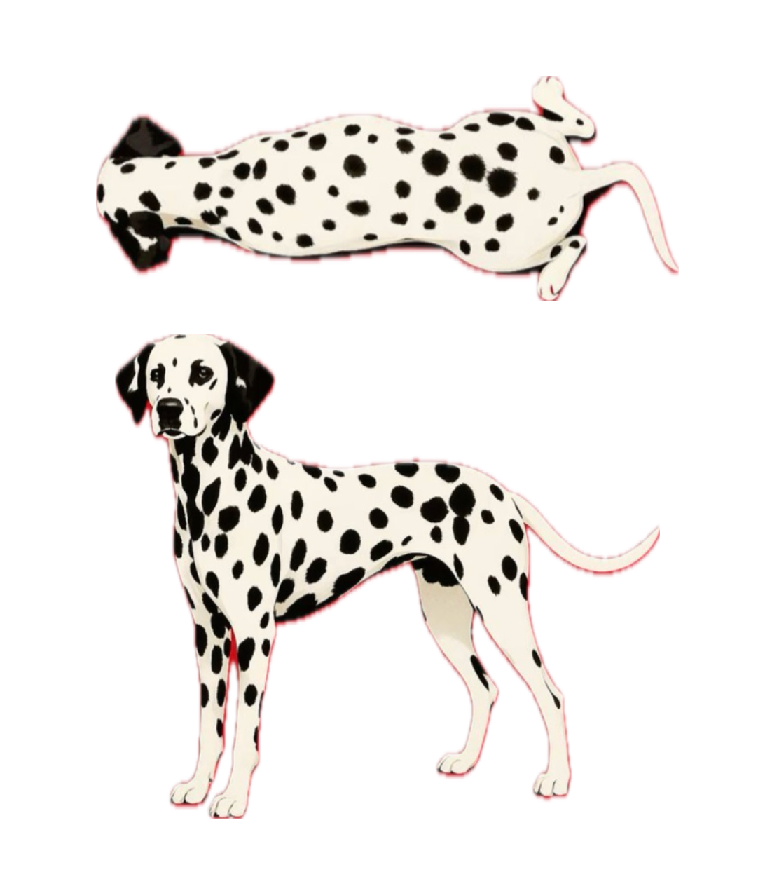 Spot On Classic T-Shirt