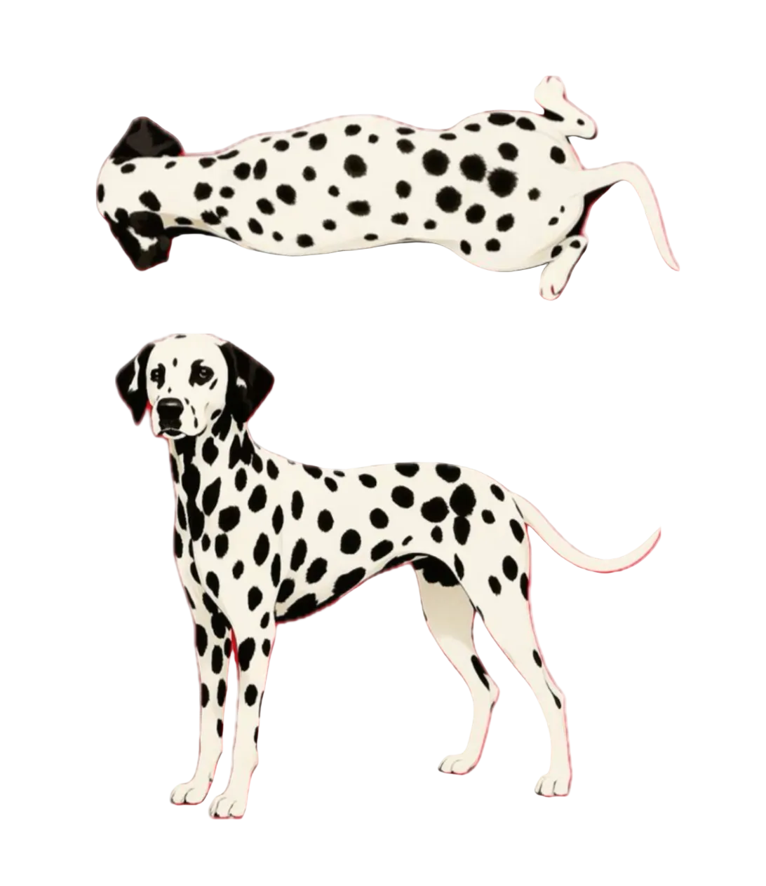 Spot On Classic T-Shirt